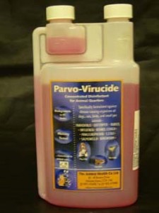 parvo-virucide